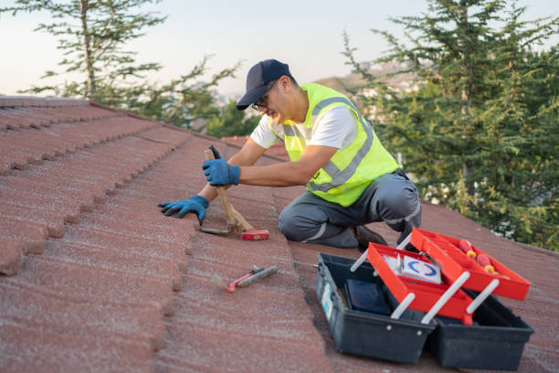 Professional Roofing Contractor in Kettle Falls, WA